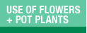Use of flowers and pot plants