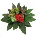New Fashion Red Rose arrangement
