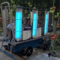 UV Crop Protector in Tomatos