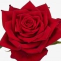 BRILLIANTE®