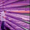 LED in Laboratories